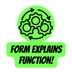 structure-and-function-ccc-badge | Lab In Every Lesson Bright green badge saying 'FORM EXPLAINS FUNCTION!' with a circle of interlocking gears and curved arrows behind it, symbolizing mechanism and meaning behind form.
