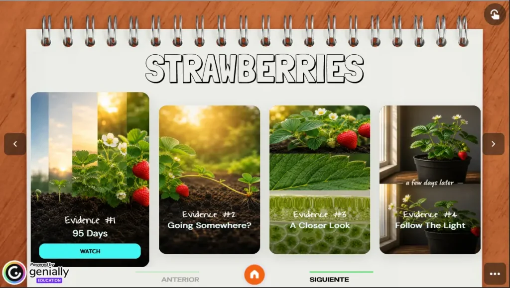 characteristics-of-life-strawberry-evidence-investigation | Lab In Every Lesson Interactive Characteristics of Life investigation showing strawberry evidence for growth, reproduction, cells, and response to light.